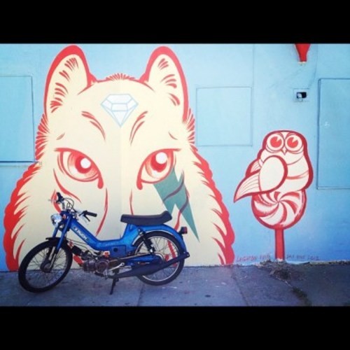 Julia - 1978 Puch Maxi