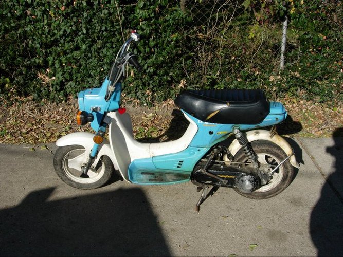 honda express sr - 1982 Honda Express SR NX-50M