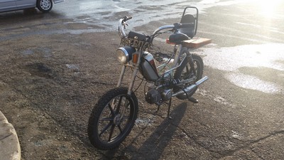 Bill The Murray -  Puch Murray