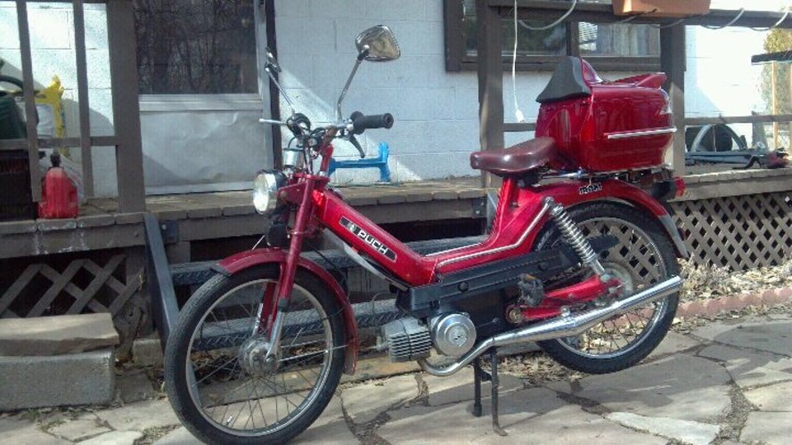 Pookie - 1977 Puch Maxi