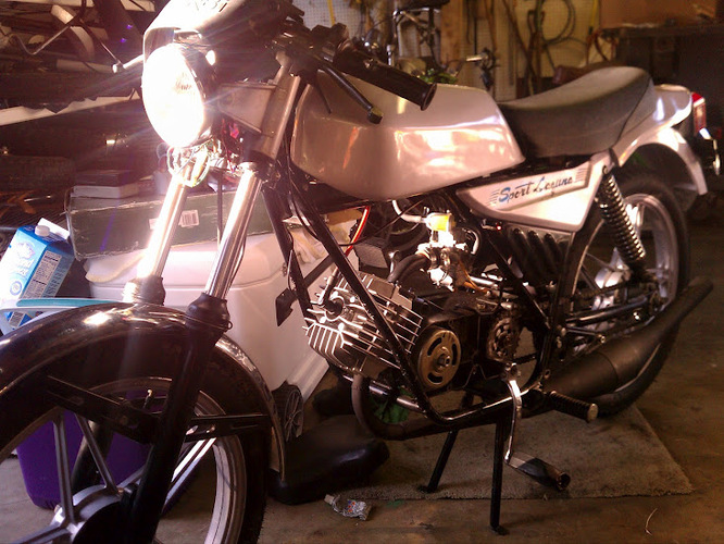 Creature from the Black Laguna - 1981 Derbi Laguna Sport