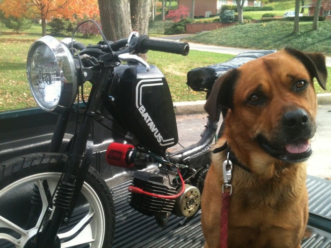 bat - 1986 Batavus Regency