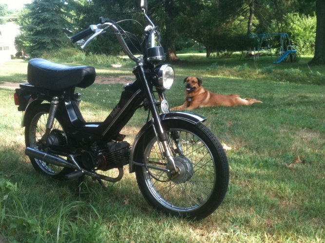 Trac - 1980 Trac Eagle