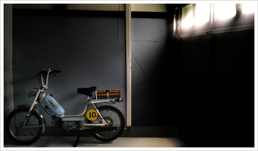 1974 WOODY FLEX - 1974  