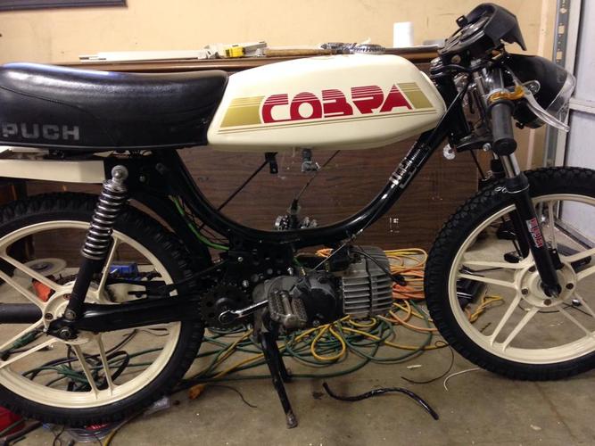 LTD Cobra - 1985 Puch Cobra