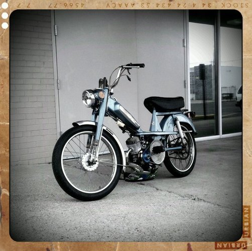 Herman Melville (super clever, huh?) -  Motobecane 50V