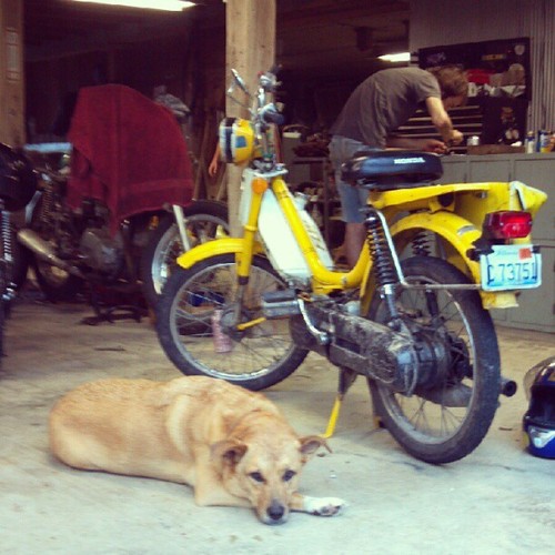 Daily Dirty Hobbit - 1979 Honda PA50 II