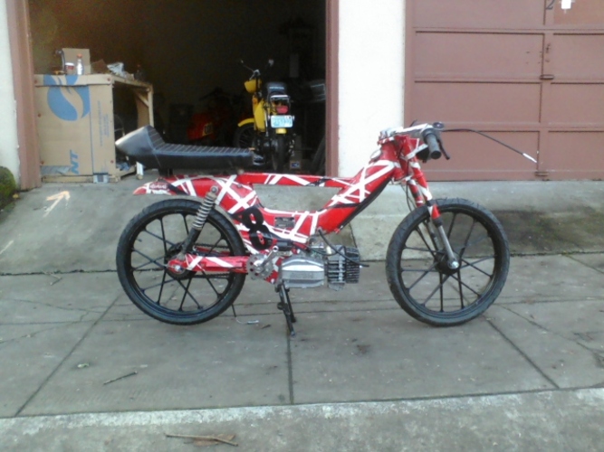 Swamp Thing - 1978 Puch Maxi Luxe