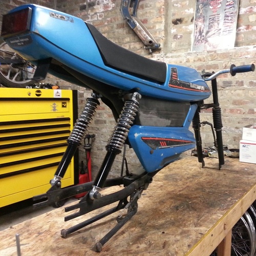 land dolphin - 1983 Batavus Grand Prix