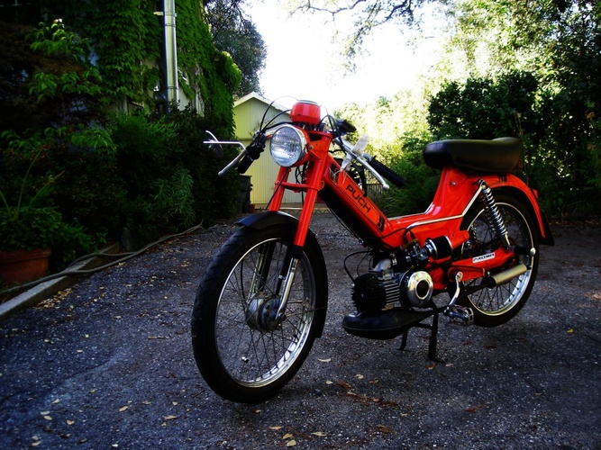 Combo of Red and Yellow  - 1980 Puch Maxi