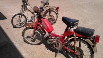 angels - 1979 Angel AP48