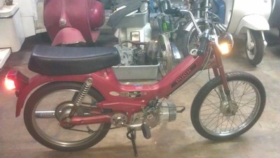 marroonn 2 - 1979 Puch Maxi