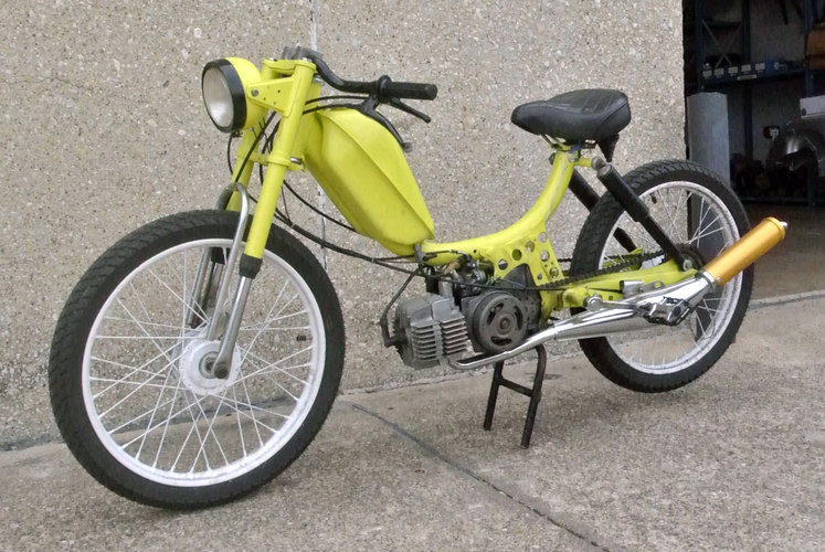 Neon freespirit - 1978 Sears Free Spirit