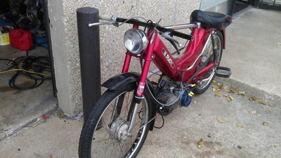 hutchinson - 1979 Puch Maxi