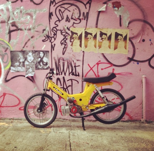 AM PUCH MAXI *005 - 1975 Puch Maxi