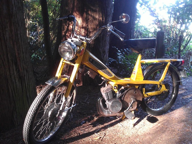Old Lemon - 1977 Motobecane 40TL