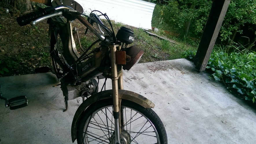 The Golden Rat - 1978 Puch Maxi II