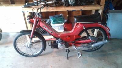 Red Patina Maxi - 1977 Puch Maxi