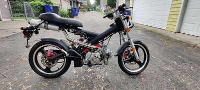 Black MadAss - 2008 Sachs MadAss