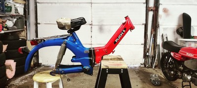 Maxi N with shocks - 1977 Puch Maxi N