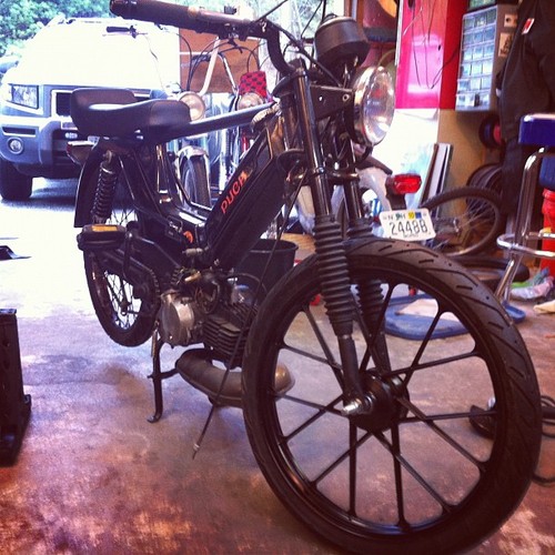 Hawk  - 1976 Puch Nostalgia