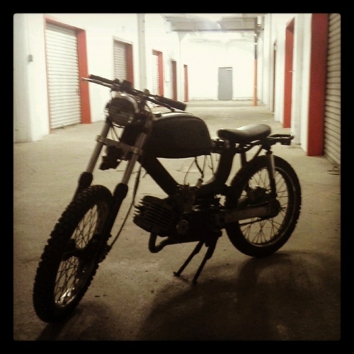 Bobber or Die -   