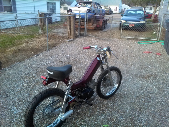 tom - 1979 Tomos A3SP