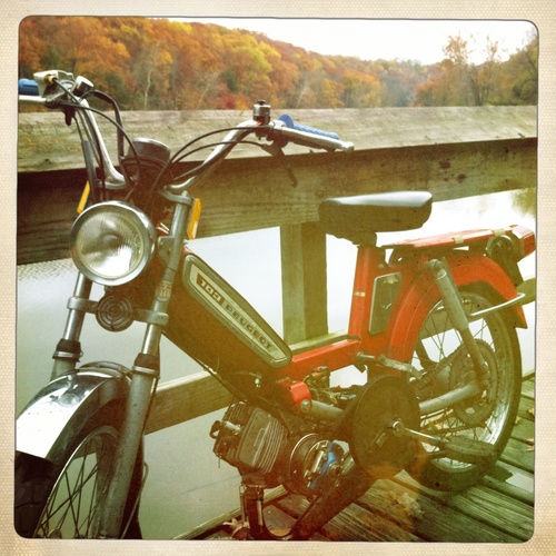 The Peugeot - 1978 Peugeot 103LVS-U3